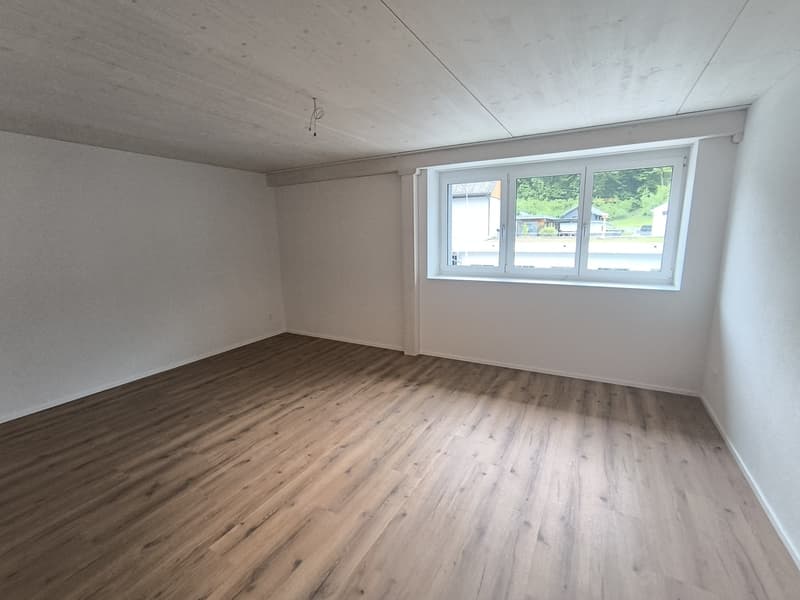 Ampio appartamento di 3,5 locali in un edificio nuovo con riduzione - 103m² (3)