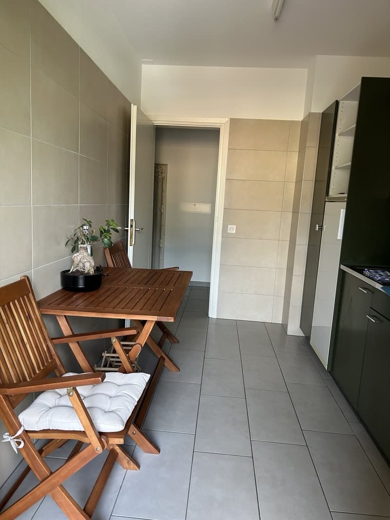 First occupancy after complete renovation  exclusive 2.5-room apartment with glazed winter garden, air conditioning and elevator, only 50 metres from Lake Lugano (10)