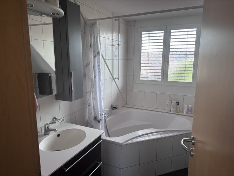 Bel appartement de 2,5 pièces en location (5)