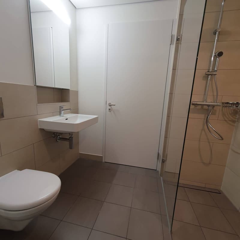 3.5 room apartment on the 14th floor of the "Wolkenwerk" (7)