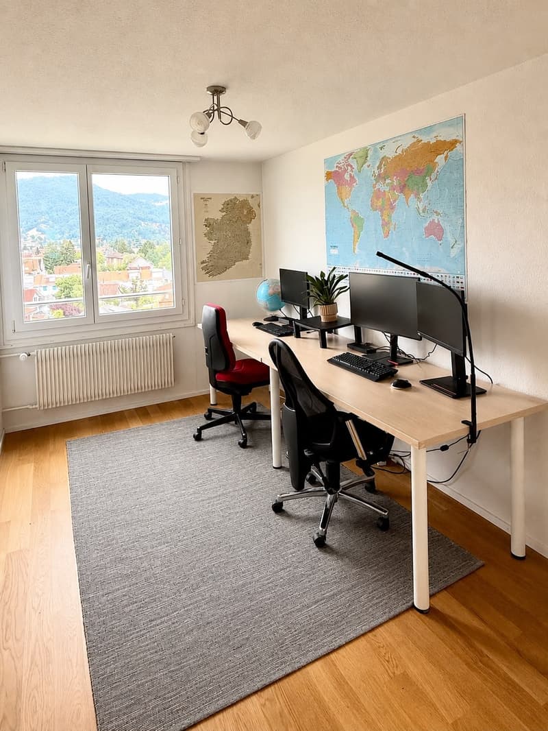 Appartamento completamente arredato con ufficio a casa a Thun | Settembre 2026 - Gennaio 2027 (10)