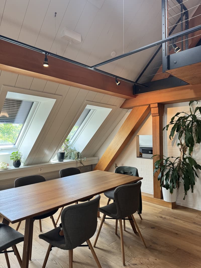 Habitation de type loft au-dessus des toits de la ville (3)