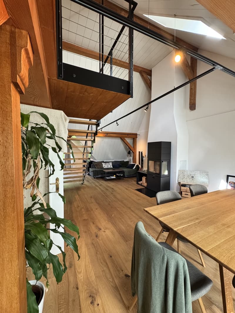 Habitation de type loft au-dessus des toits de la ville (2)