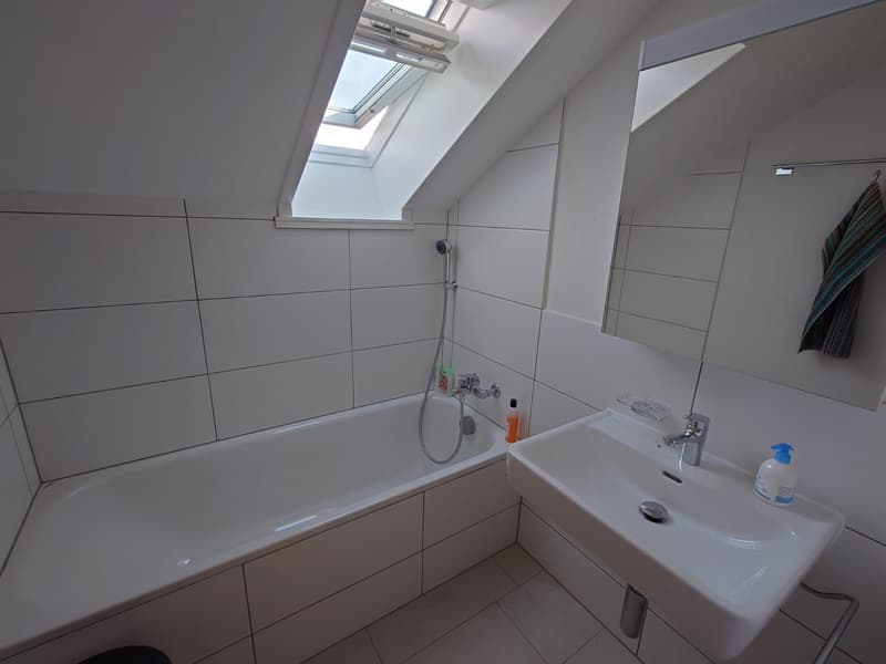 moderne 2-Zimmer-Dachwohnung in ruhiger Lage (8)