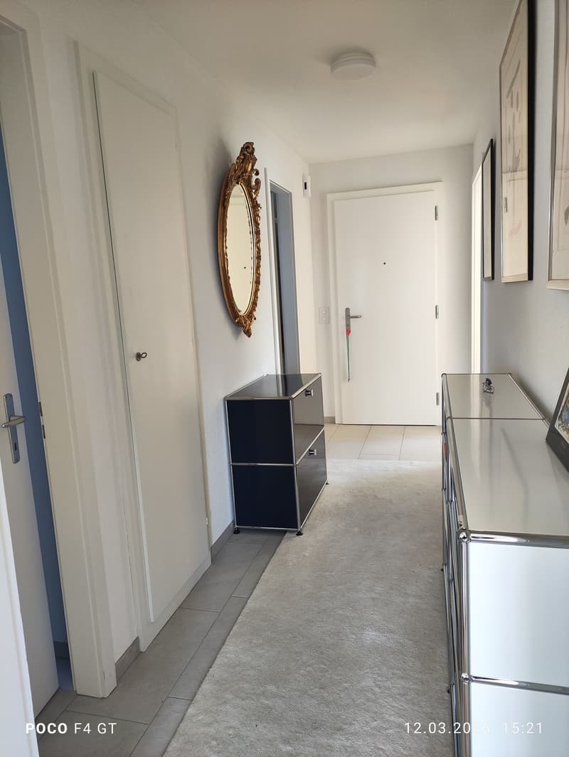 moderne 2-Zimmer-Dachwohnung in ruhiger Lage (4)
