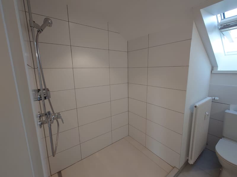 moderne 2-Zimmer-Dachwohnung in ruhiger Lage (7)