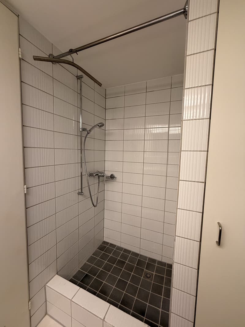 Stylish 2.5-room apartment with old town flair in the heart of Zurich (12)