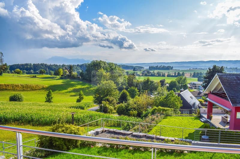 single house in Mettmenstetten with Mountain Views (8)