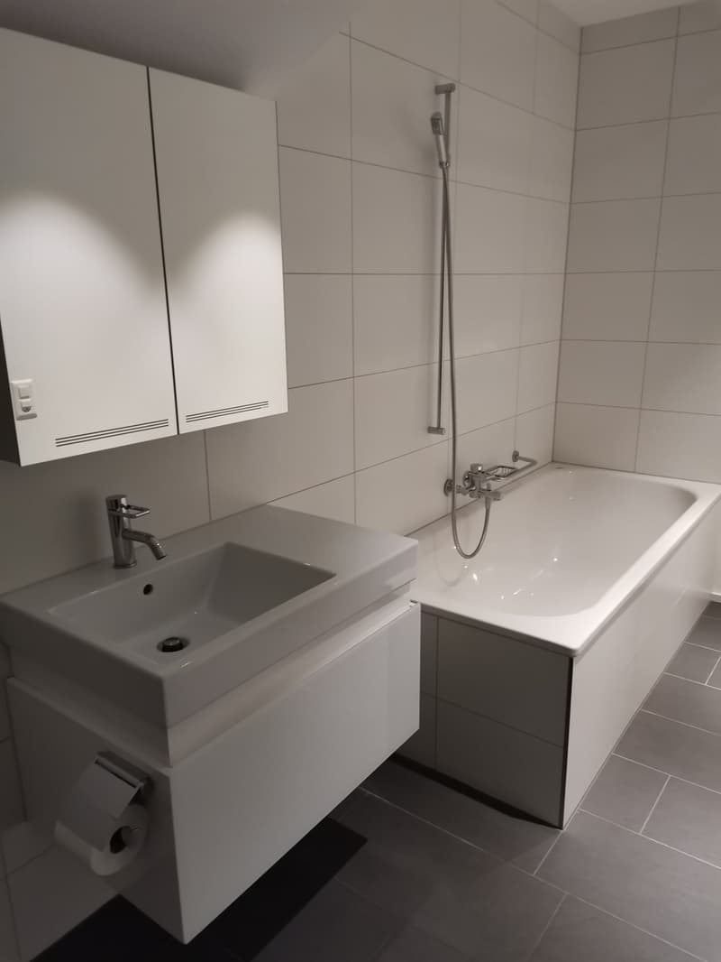 Loft avec norme Minergie P-Eco dans un quartier calme près de Thunplatz (9)