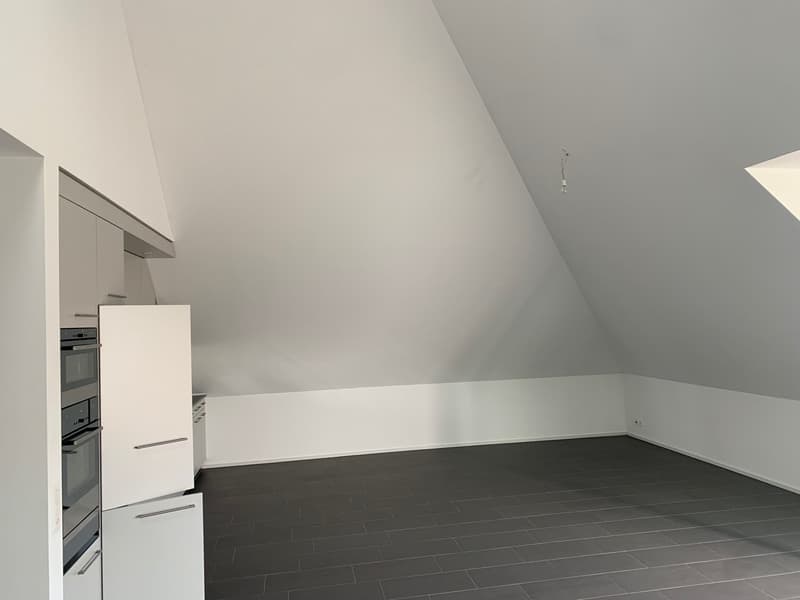 Loft avec norme Minergie P-Eco dans un quartier calme près de Thunplatz (7)