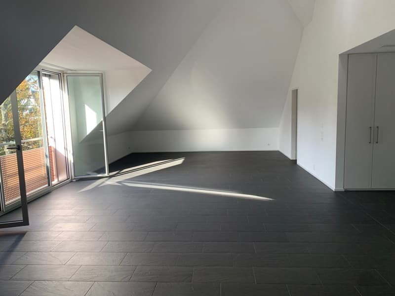 Loft avec norme Minergie P-Eco dans un quartier calme près de Thunplatz (2)