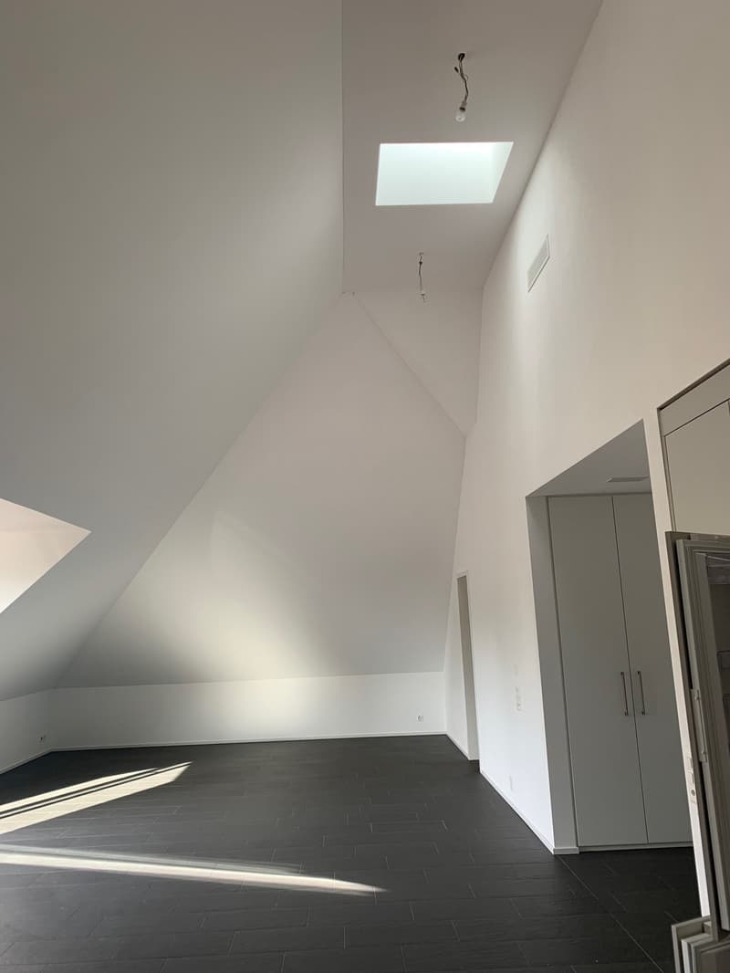 Loft avec norme Minergie P-Eco dans un quartier calme près de Thunplatz (3)