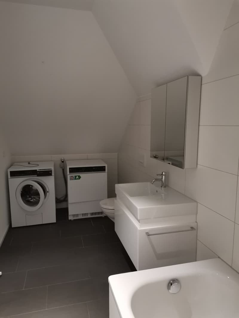 Loft avec norme Minergie P-Eco dans un quartier calme près de Thunplatz (10)