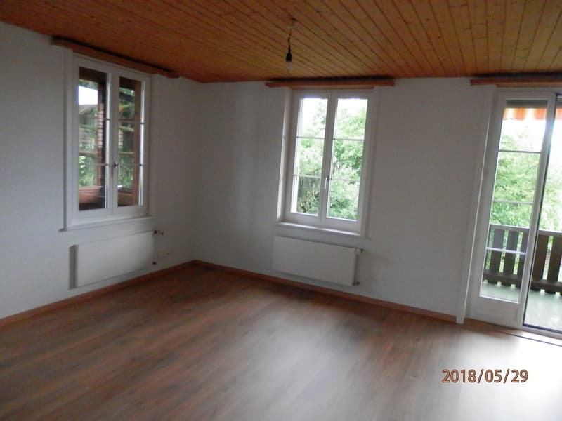 Appartamento di 3 camere in posizione centrale (5)