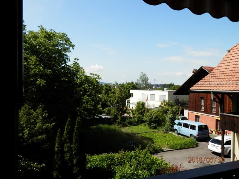 Appartamento di 3 camere in posizione centrale (7)