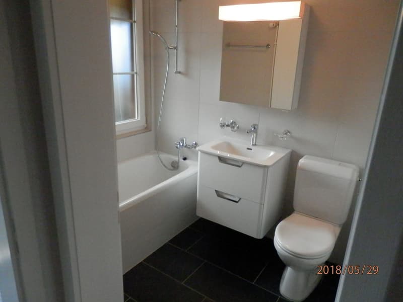 Appartamento di 3 camere in posizione centrale (2)