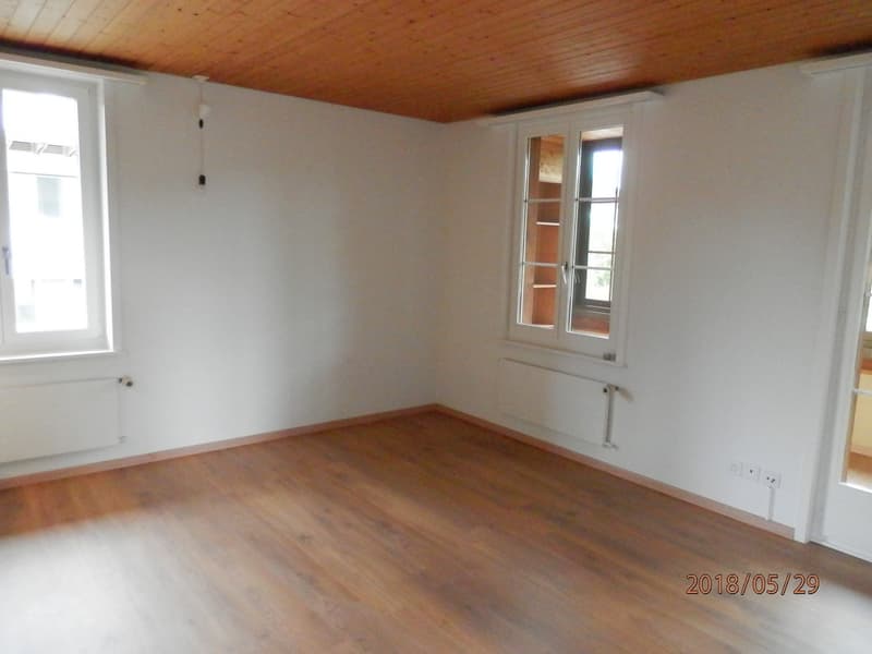 Appartamento di 3 camere in posizione centrale (3)