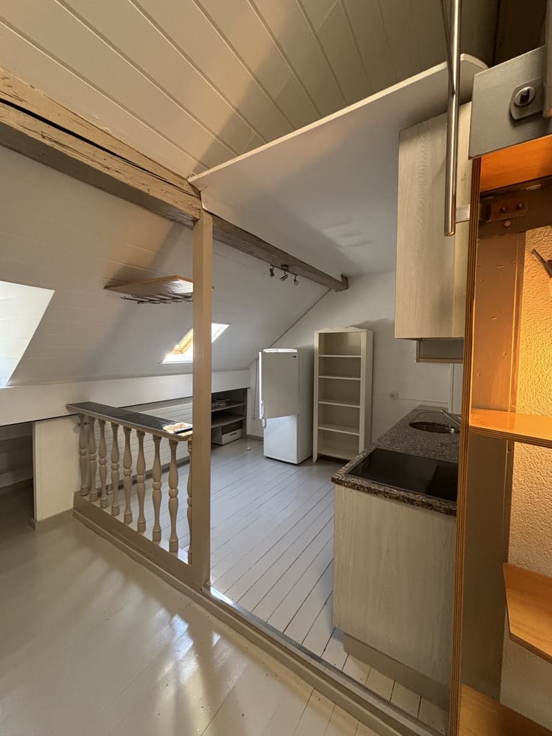 Charmant, lumineux et élégant loft en centre-ville (6)