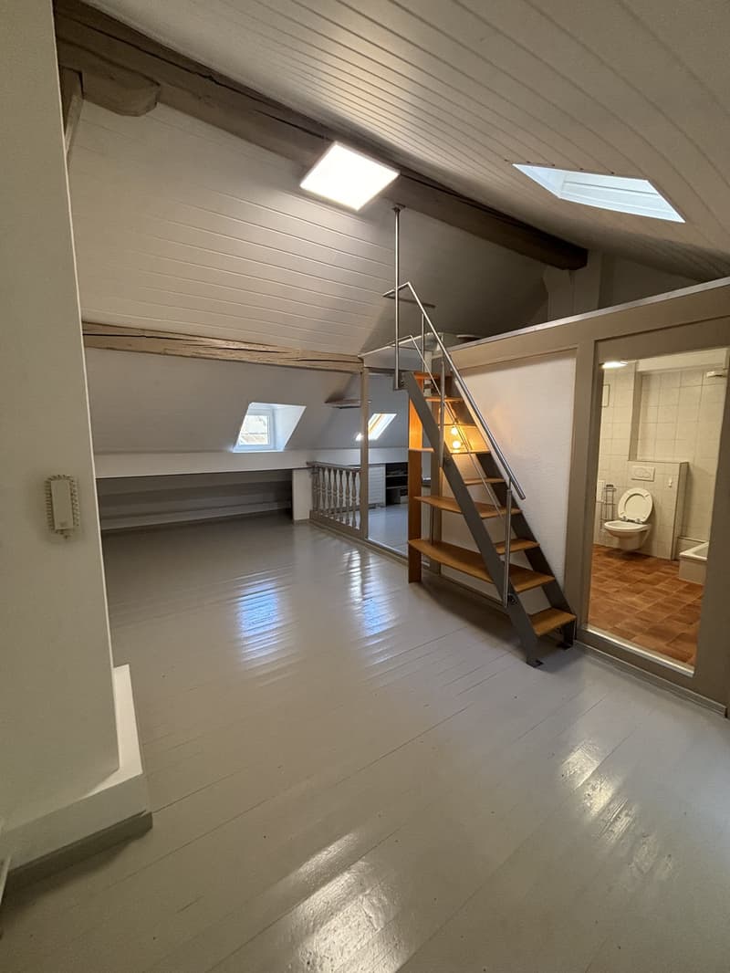 Charmant, lumineux et élégant loft en centre-ville (5)