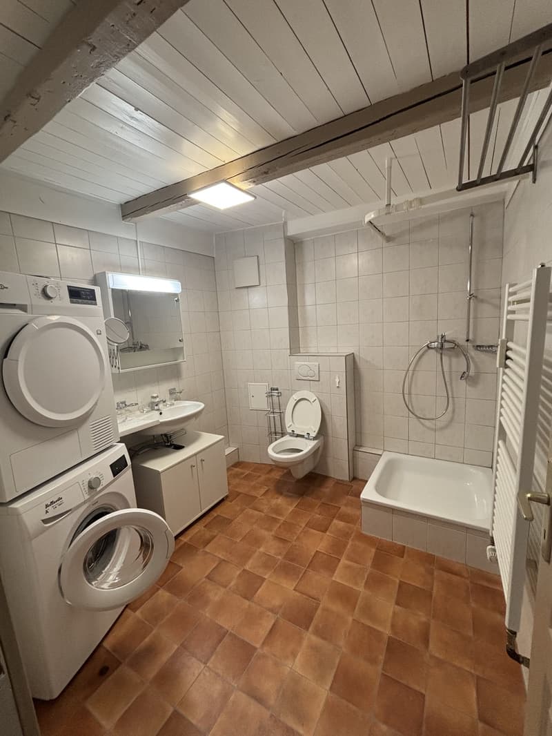 Charmant, lumineux et élégant loft en centre-ville (3)