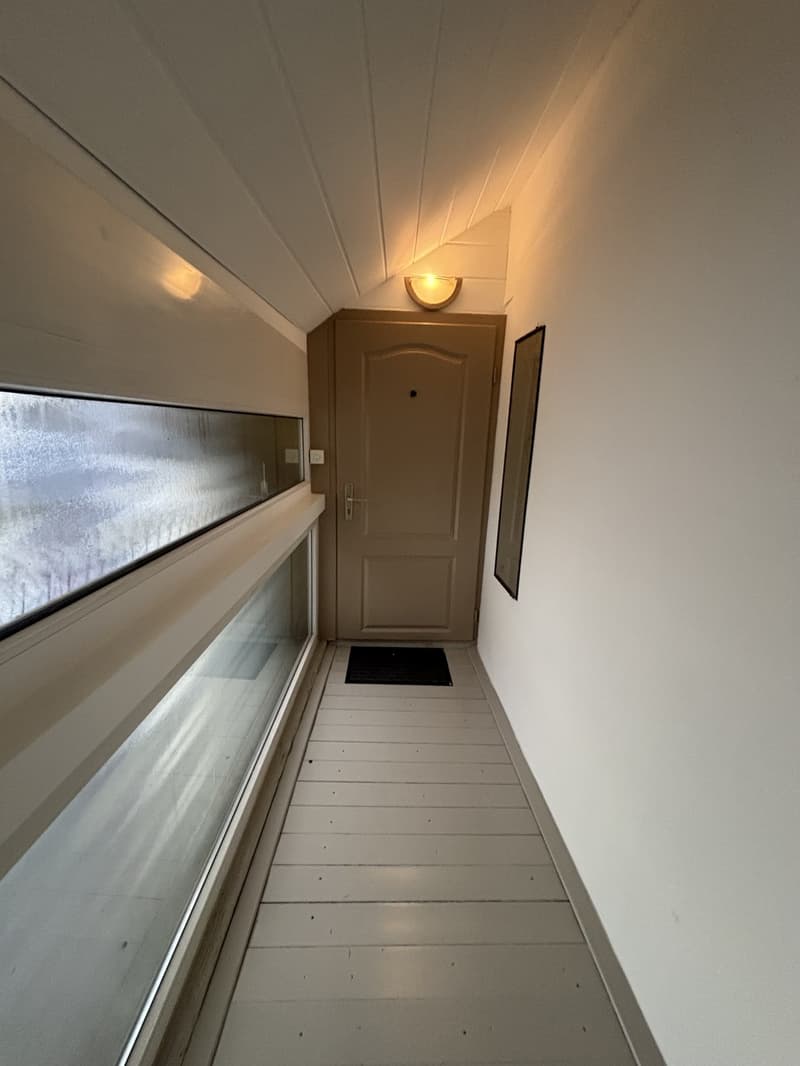 Charmant, lumineux et élégant loft en centre-ville (7)