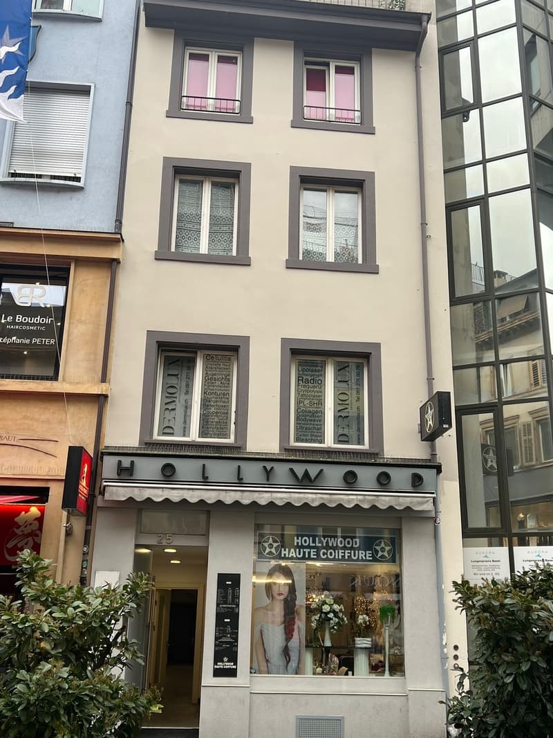 Charmant, lumineux et élégant loft en centre-ville (2)