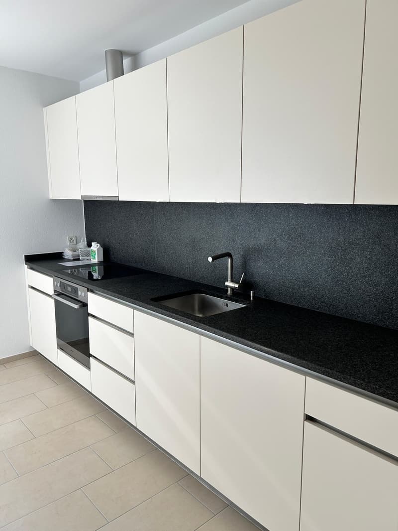Helle 4.5-Zimmer-Altbauwohnung im Grünen in Zürich-Enge/Kreis 2 - Nachmieter ab 1.10. gesucht (10)