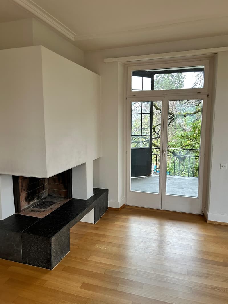 Helle 4.5-Zimmer-Altbauwohnung im Grünen in Zürich-Enge/Kreis 2 - Nachmieter ab 1.10. gesucht (1)