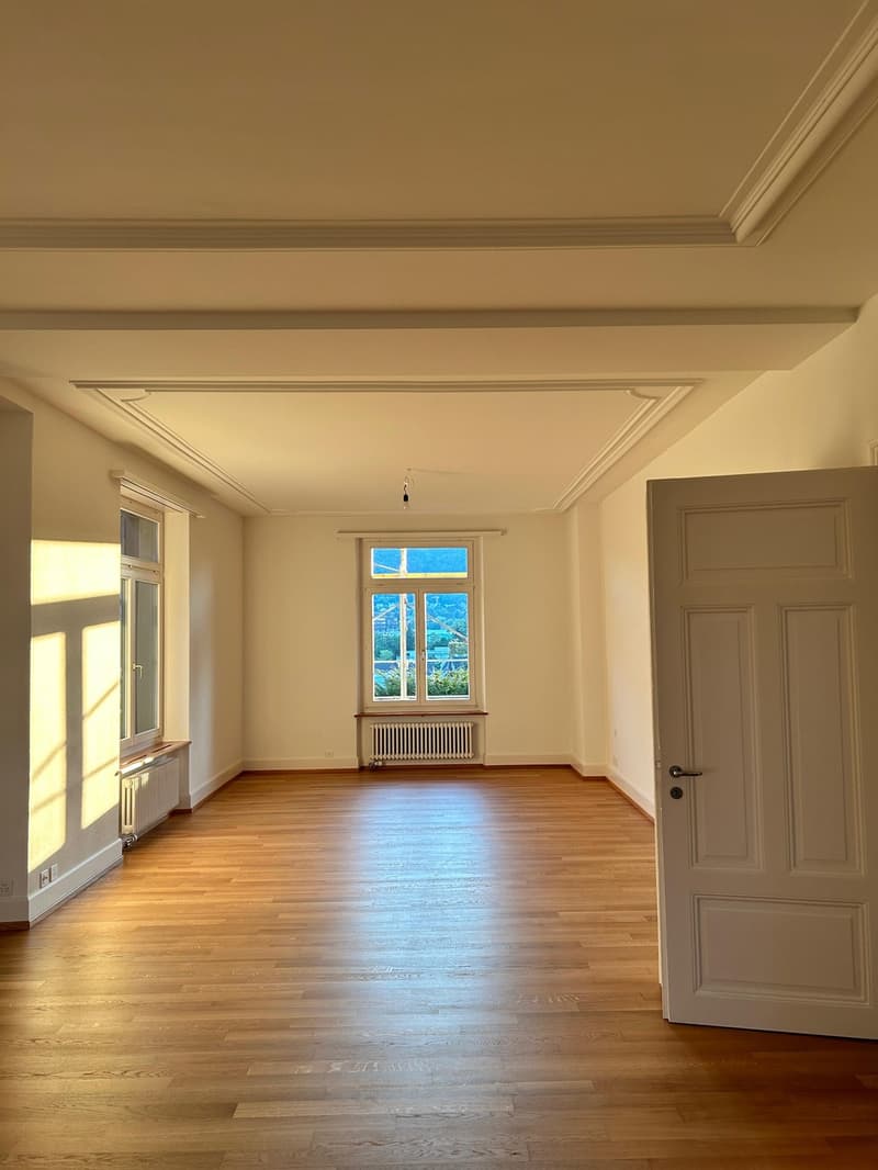 Helle 4.5-Zimmer-Altbauwohnung im Grünen in Zürich-Enge/Kreis 2 - Nachmieter ab 1.10. gesucht (5)