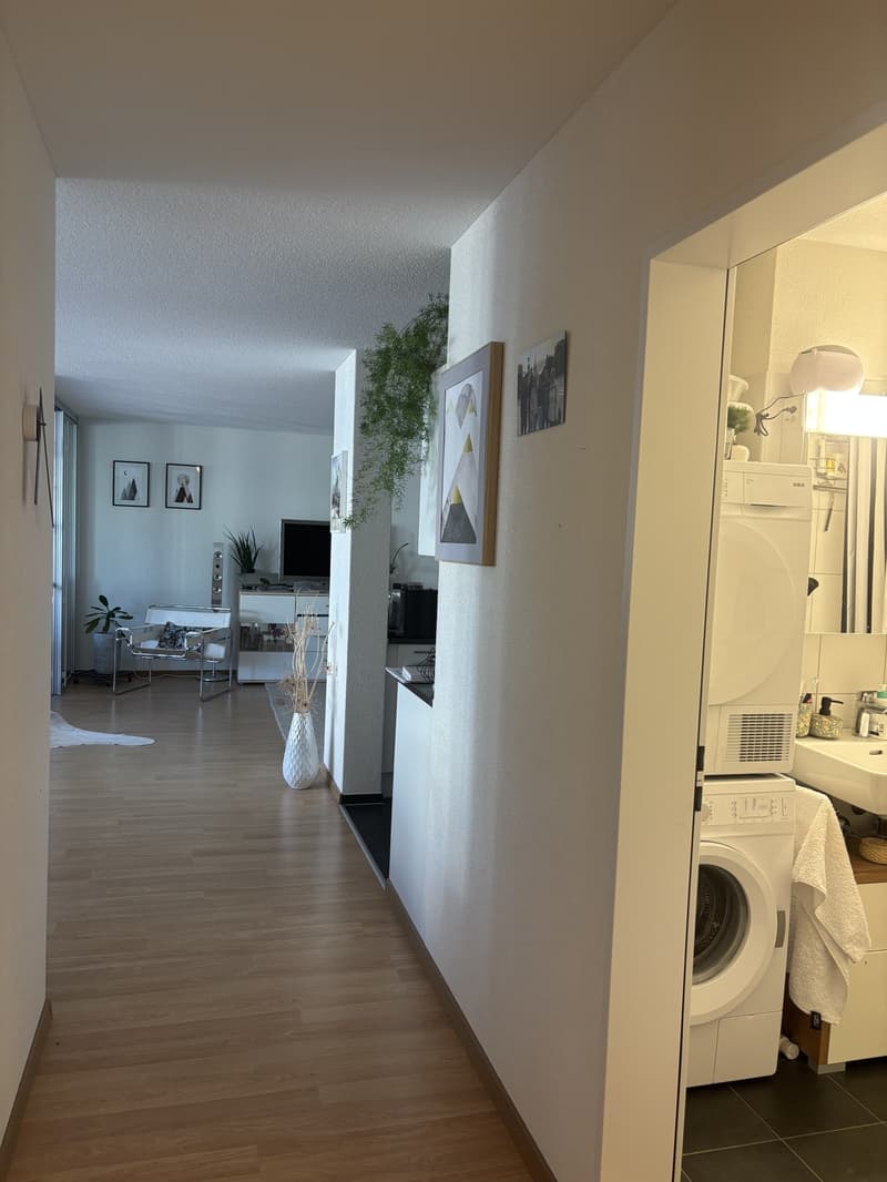 Appartamento di 3 camere con balcone (6)