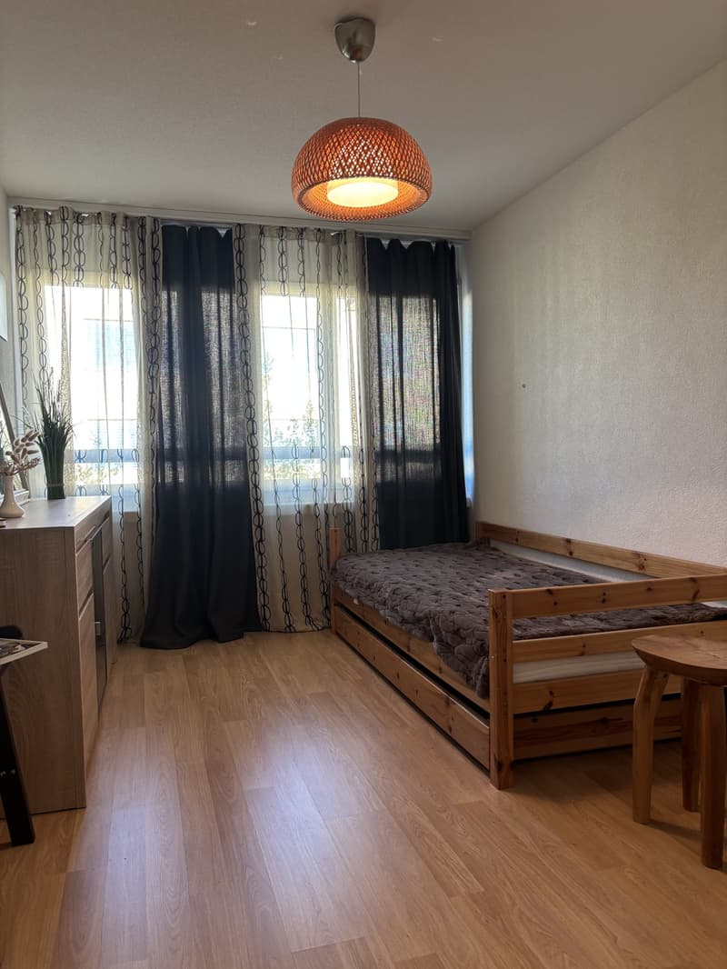 Appartamento di 3 camere con balcone (8)