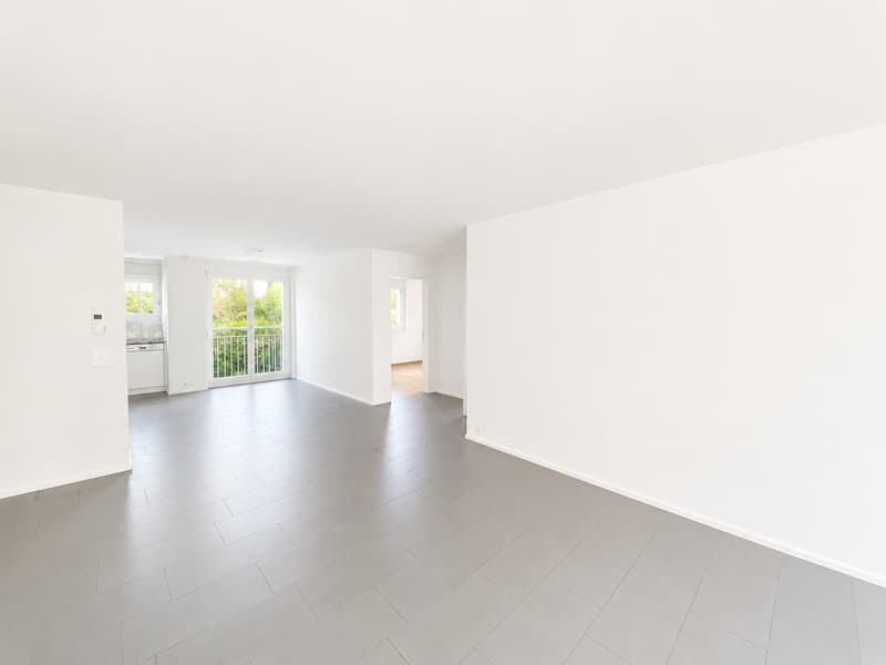 Spacious family apartment with 24 m2 large, partially glazed balcony (2)
