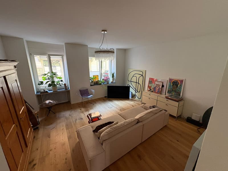 Wunderschöne 3-Zimmerwohnung mit privatem Garten (1)