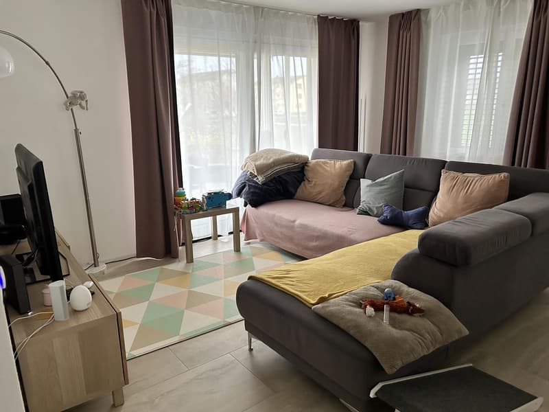 Exklusives, freistehendes Einfamilienhaus im Hochparterre mit grossem Garten in Brugg (4)