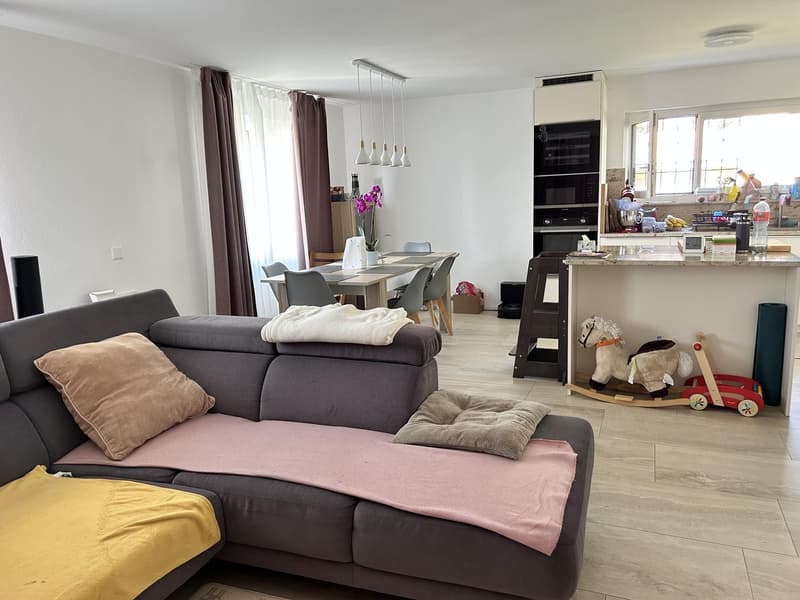 Exklusives, freistehendes Einfamilienhaus im Hochparterre mit grossem Garten in Brugg (3)