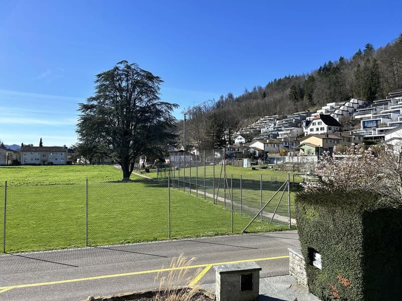 Exklusives, freistehendes Einfamilienhaus im Hochparterre mit grossem Garten in Brugg (10)