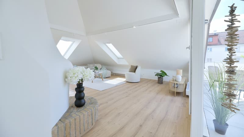 Exklusive Maisonette-Wohnung an der Badenerstrasse 398, Zürich (1)