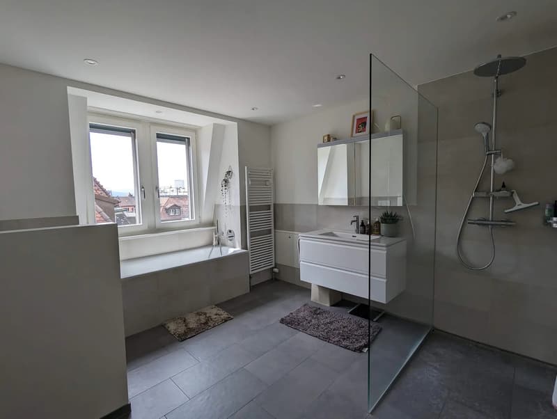 5-room apartment in a beautiful building in Zurich District 6 (12)