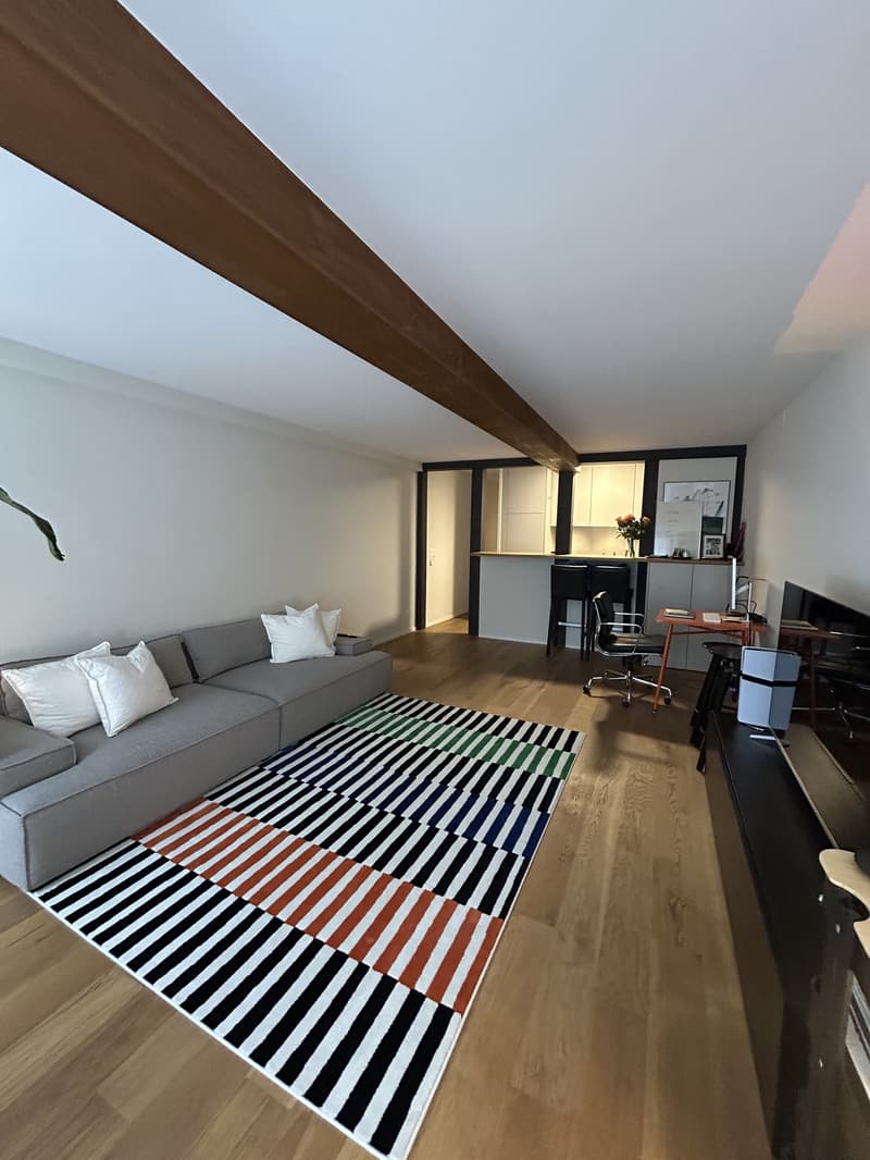 Tenant sought immediately / by arrangement beautiful 2.5-room apartment in the old town (5)