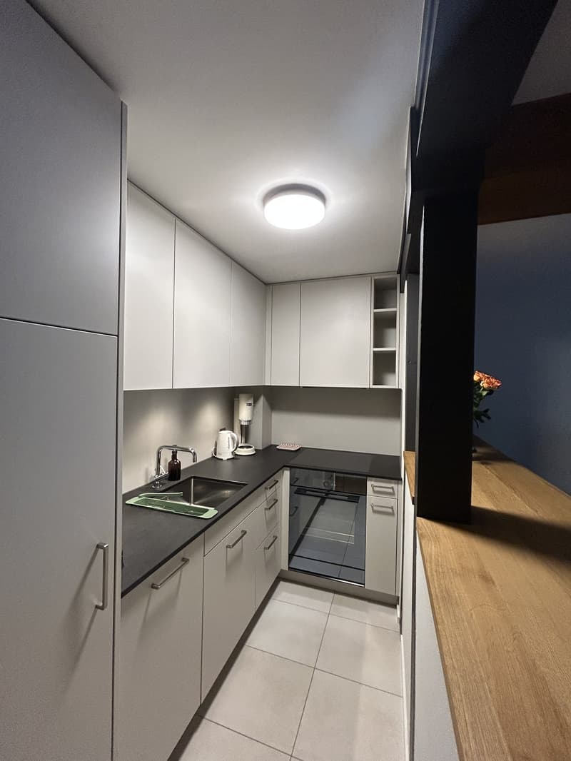 Tenant sought immediately / by arrangement beautiful 2.5-room apartment in the old town (4)