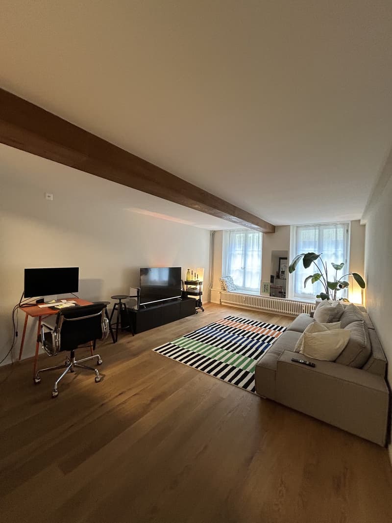 Tenant sought immediately / by arrangement beautiful 2.5-room apartment in the old town (1)