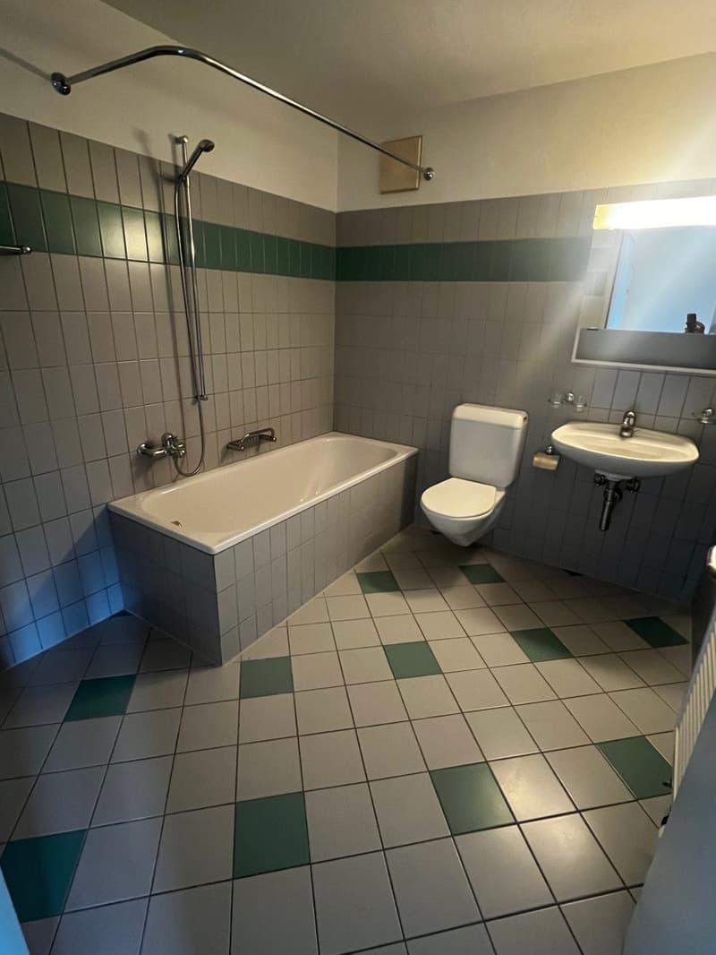 Appartement 1.5 pièces avec balcon et salle de bain (7)