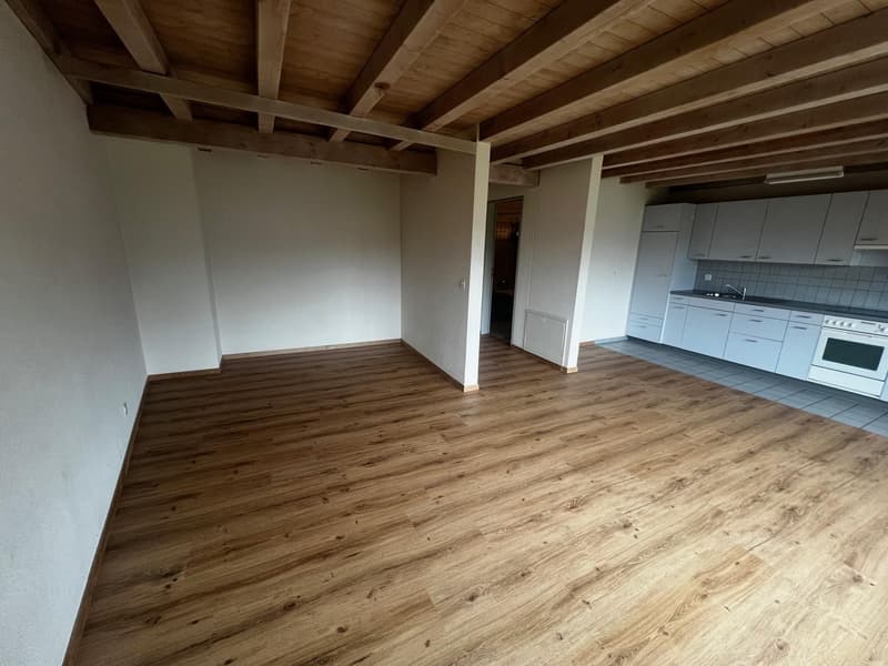 Appartement 1.5 pièces avec balcon et salle de bain (4)