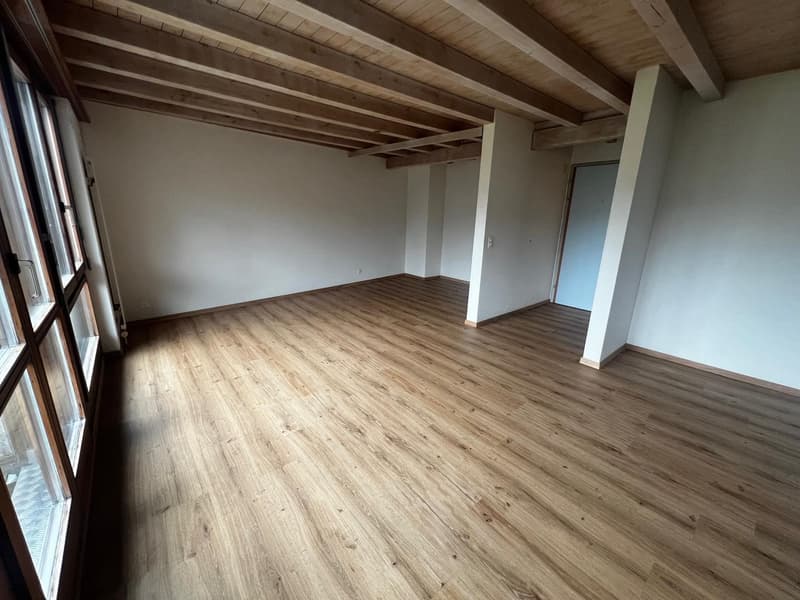 Appartement 1.5 pièces avec balcon et salle de bain (2)