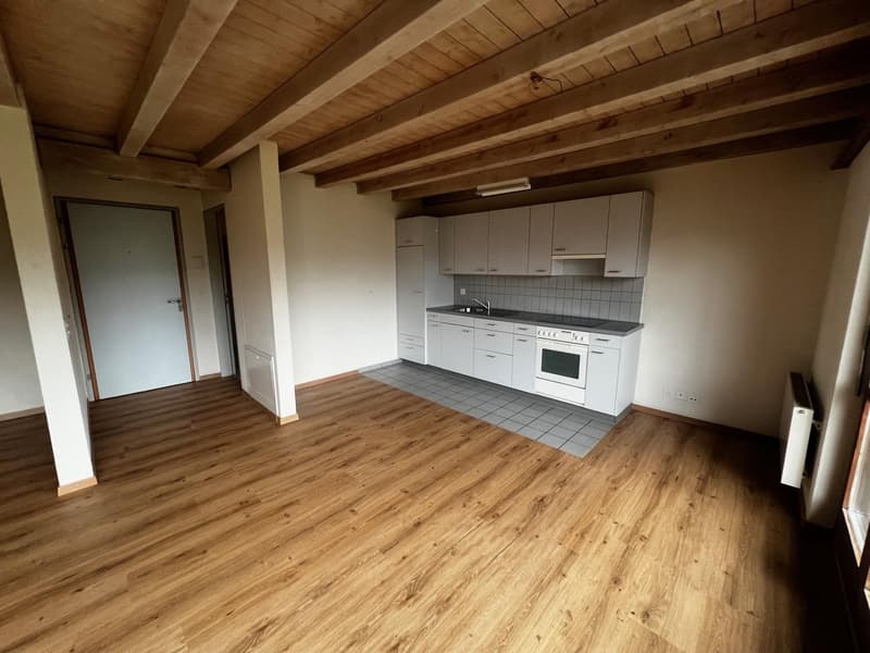 Appartement 1.5 pièces avec balcon et salle de bain (1)