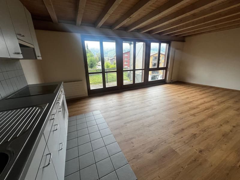Appartement 1.5 pièces avec balcon et salle de bain (3)