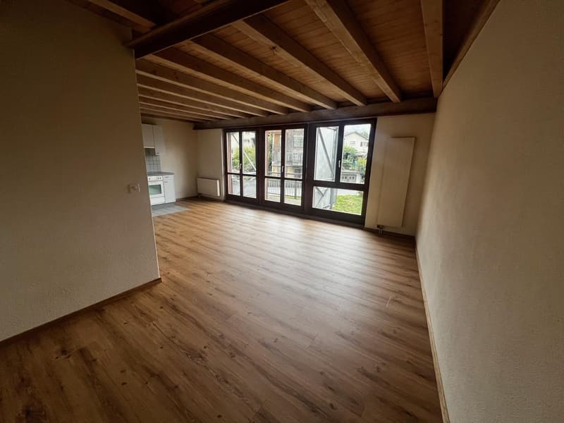 Appartement 1.5 pièces avec balcon et salle de bain (5)