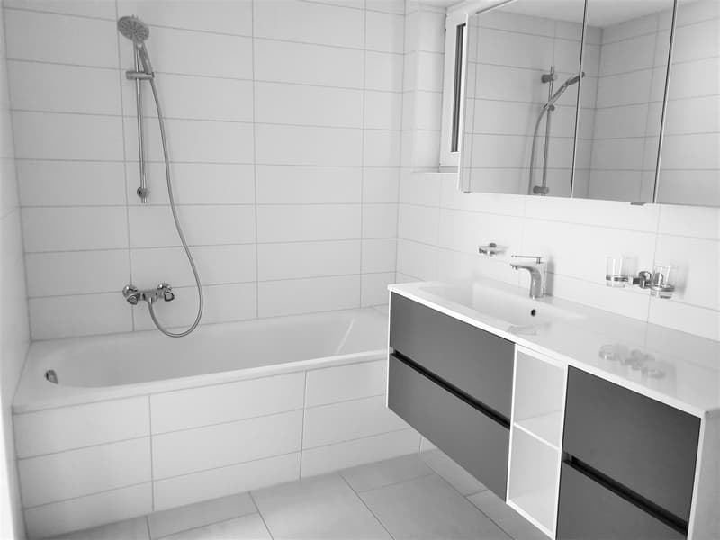 4.5 room apartment with garden and parking space CHF1930 incl. additional costs (12)