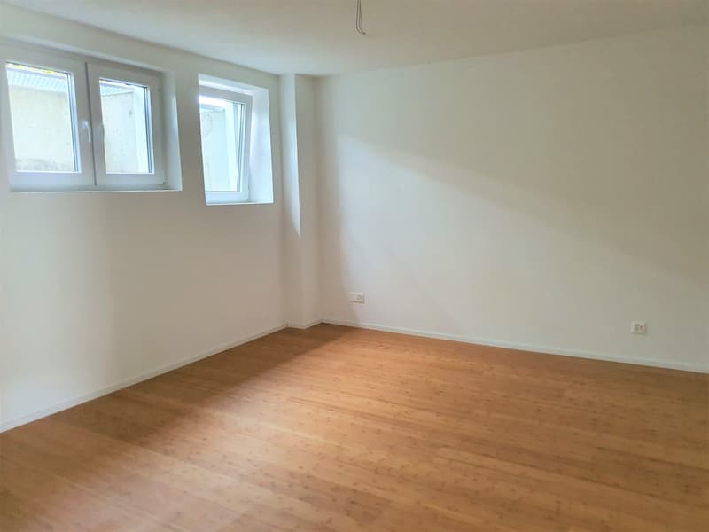 4.5 room apartment with garden and parking space CHF1930 incl. additional costs (9)