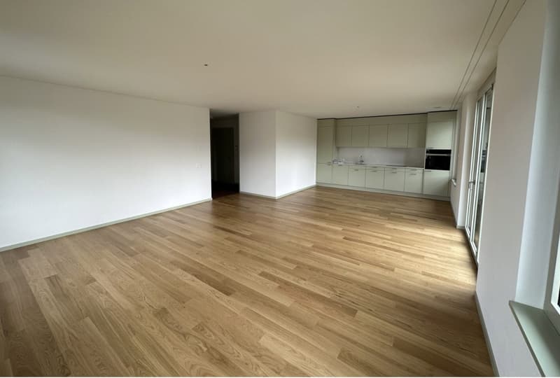 4-Zimmer-Wohnung, 8004 Zürich (1)